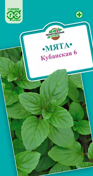 Семена Мята перечная Кубанская 6