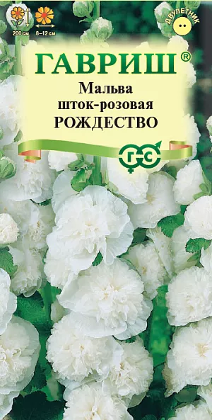 Мальва Рождество из каталога Мальва Многолетнее растение из семейства Мальвовых, культивируемое как двулетник, высотой до 2-2,5 м. Цветет с конца июня по сентябрь. Цветки махровые, снежно-белой окраски, 8-12 смв диаметре, собраны в крупное эффектное соцветие-кисть. Светолюбива и засухоустойчива, к почвам нетребовательна, но предпочитает участки с хорошо обработанной плодородной почвой. На зиму желательно укрывать. Выращивают прямым посевом в открытый грунт в мае. Используется для посадки в группах, миксбордерах, для декорирования стен зданий и изгородей, а также для получения срезки.