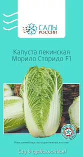 Семена Капуста пекинская Морило Сторидо F1 