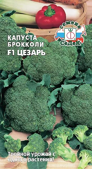 Семена Капуста брокколи Цезарь F1