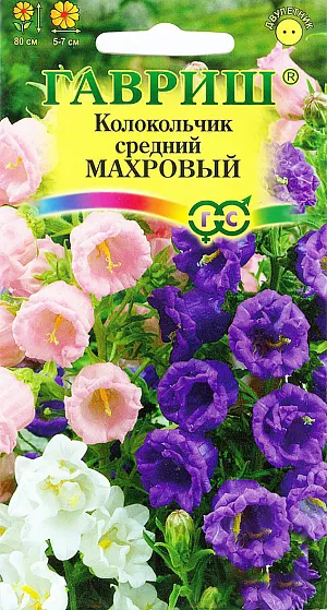 Семена Колокольчик средний Махровый.
Привлекательное растение из семейства Колокольчиковые высотой 80 см. Выращивается как двулетник.
Цветки махровые бокальчато-колокольчатые, 5-7 см в диаметре, собраны в крупные эффектные соцветия разнообразных окрасок.
Цветет с июня по сентябрь. При своевременном удалении отцветающих соцветий цветение - обильное. 
Предпочитает солнечные участки с хорошо обработанными плодородными почвами.
Выращивают прямым посевом в грунт в начале мая или во второй половине октября. 
Зацветают растения на второй год. Используется для оформления участка и для срезки. 
Хорошо сочетается с хостами, астильбами. В срезке стоит до 12 дней. Схема посадки 30х30 см.