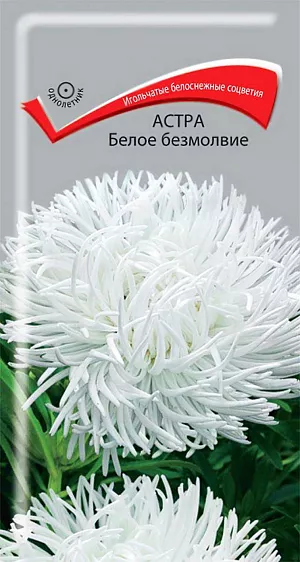 Семена Астра Белое безмолвие. Игольчатые белоснежные соцветия. Куст высотой 60-65 см. Cоцветия крупные, диаметром 11-12 см. На растении формируется 10-14 соцветий. Цветёт август-октябрь. Используют очень широко: для посадки в сборные цветники группами, на рабатки – рядами и для срезки.<br>
 <br>
 <br>
  Растение предпочитает открытое солнечное место, но выносит и полутень. Лучше растет на легких, плодородных почвах. Не переносит внесения  органических удобрений в год посадки. Семена высевают с середины февраля по апрель. Глубина заделки семян 0,5 см. При температуре почвы +20 °С всходы появляются на 7-14 день. Через 3-4 недели посевы пикируют  и выращивают при температуре 12-15 °С. В грунт рассаду высаживают во второй половине мая, выдерживая расстояние между растениями 30-35 см.<br>