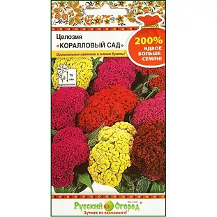Целозия Коралловый сад Целозия Коралловый сад