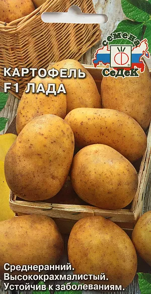 Семена Картофель Лада F1