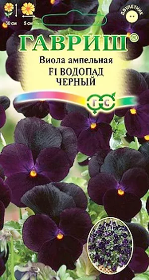 Семена Виола Водопад черный F1 ампельная.
Виола ампельная Водопад черный F1 (Виттрока, Анютины глазки) - это удивительная каскадная виола с повисающими побегами длиной 30 см для украшения подвесных корзин и балконных ящиков. Густая яркая зелень и обилие темно-фиолетовых, практически черных цветков диаметром 5 см образуют плотный непрерывно цветущий шар. Цветет с мая по сентябрь.