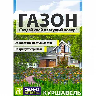 Газонная трава Куршавель
