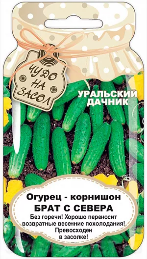 Семена Огурец-корнишон Брат с Севера Семена Огурец-корнишон Брат с Севера