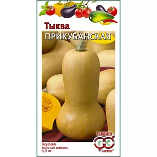 Семена Тыква Прикубанская мускатная