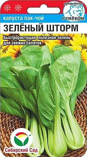 Семена Капуста китайская Пак-чой Зеленый шторм