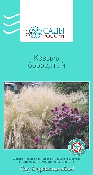 Ковыль Бородатый

Многолетнее очень эффектное растение. Мягкие шелковистые волны при групповой посадке или фонтаны одиночных растений, колеблющиеся от малейшего ветерка, одинаково завораживают. Узкие сизо-зеленые листья и светлая, сильно опушенная метелка длиной 30 см.