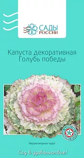 Капуста декоративная Голубь победы 5шт Капуста декоративная Голубь победы 5шт