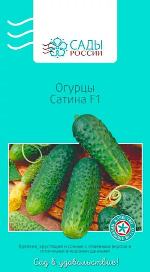 Семена Огурец Сатина F1