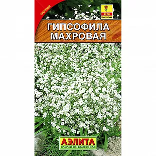 Семена Гипсофила Махровая