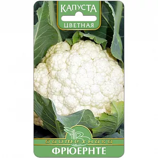 Семена Капуста цветная Фрюернте