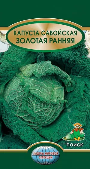 Семена Капуста савойская Золотая ранняя Семена Капуста савойская Золотая ранняя