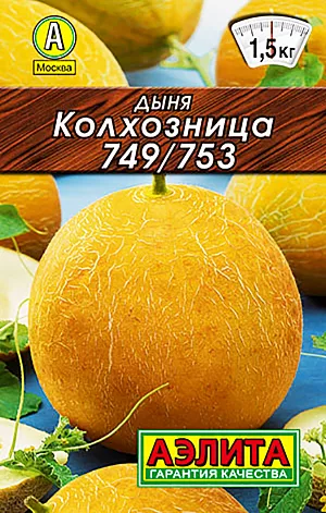 Дыня Колхозница Дыня Колхозница