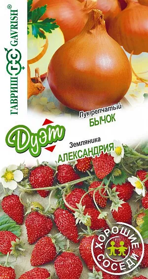 Семена Лук репчатый Бычок + Земляника Александрия серия Дуэт Семена Лук репчатый Бычок + Земляника Александрия серия Дуэт