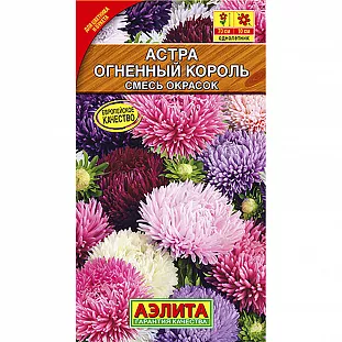 Семена Астра Огненный король смесь окрасок