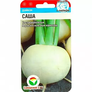 Семена Дайкон Саша Семена Дайкон Саша