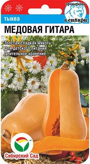 Семена Тыква Медовая гитара