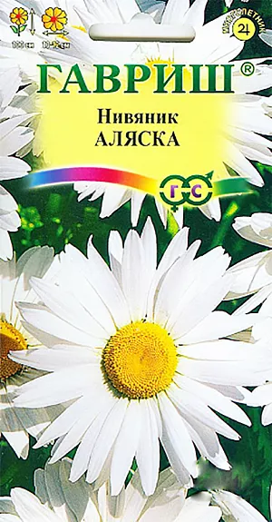 Нивяник Аляска из каталога Нивяник Семена Нивяник Аляска.
Многолетнее растение с множеством ветвистых стеблей высотой до 100 см. Листья стеблевые, нижние черешковые лопатчатые, верхние продолговатые, сидячие, по краям городчатые.
Соцветия - корзинки белоснежные с желтым центром, крупные, диаметром 10-12 см. Предпочитает солнечные места и удобренную почву. Размножают семенами, делением корневищ и черенками. Семена высевают весной для выращивания рассады или осенью — в гряды открытого грунта. При весеннем посеве и температуре почвы 15 °C всходы появляются через 14-20 дней. Сеянцы зацветают на второй год. Кусты делят на 3-4-й год выращивания весной и рассаживают на расстоянии 30 см. Нивяник хорошо смотрится в групповых посадках на газоне, на фоне декоративных кустарников; для срезки.