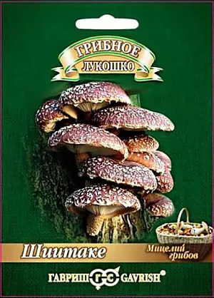 Мицелий грибов Шиитаке на древесной палочке