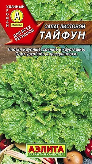 Салат Тайфун листовой Салат Тайфун листовой