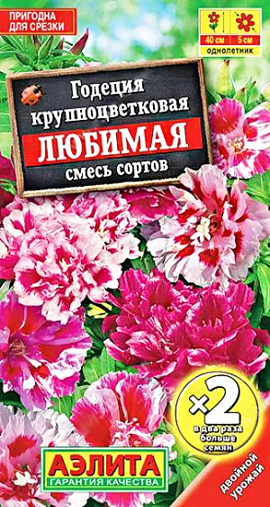Семена Годеция Любимая.
Яркая высокорослая (60 см) крупноцветковая смесь. Цветки махровые, атласные, диаметром 5 см, очень привлекательные. Сохранит великолепный цветочный наряд до самой осени, а ветвистый кустик обеспечит устойчивость растения к непогоде. Очень эффектно выглядит в цветниках, срезанные растения прекрасно подходят для букетов. Агротехника. Посев на рассаду в апреле. Всходы появляются через 7-10 дней. Пикировка в фазе 1-2 настоящих листьев. В открытый грунт высаживают в середине мая с шагом 20-25 см. Возможен посев семян в открытый грунт в апреле-мае.