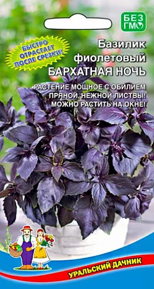 Семена Базилик Бархатная ночь