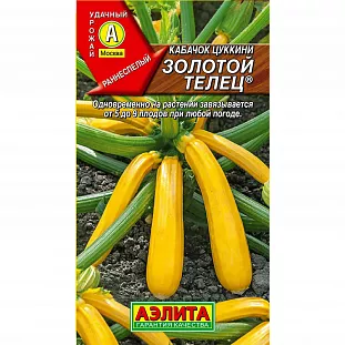 Семена Кабачок цуккини Золотой телец