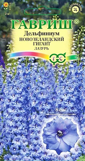 Семена Дельфиниум Новозеландский гигант лазурь.
Новозеландские гиганты — признанные мировые законодатели селекционной моды среди дельфиниумов. Исключительные декоративные качества, зимостойкость, долговечность и неприхотливость, сделали эти сорта самым желанным приобретением многих профессионалов и садоводов-любителей. Растения рослые, более 2 м, с прочными здоровыми цветоносами, но все же нуждается в опоре. Необыкновенно крупные махровые цветки, лазурного цвета, собраны в плотное, буквально набитое соцветие. Первое цветение происходит на второй год после посева, в июне-июле. Повторное — в августе. Новозеландские гиганты морозостойки, отлично переносят даже суровые зимы без укрытия.