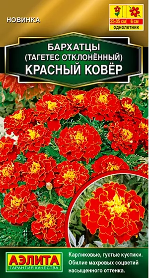 Семена Бархатцы отклоненные Красный ковер
Раннецветущий карликовый сорт с улучшенными декоративными качествами. Высота растений около 25-35 см. Густые, пушистые, крепкие кустики привлекательно смотрятся высаженными в виде ковровых посадок в цветниках. Они отлично растут в ограниченном объеме грунта – балконных контейнерах и садовых вазонах. Аккуратные, выразительные, плотные соцветия ? 4-6 см обладают глубоким, насыщенным оттенком. Обильно распускаясь в разгар лета, они на протяжении всего сезона не утрачивают своей яркости на солнце и после дождей. Бархатцы защищают посаженные по соседству культуры от болезней и вредителей.
* Высота растений зависит от условий выращивания.