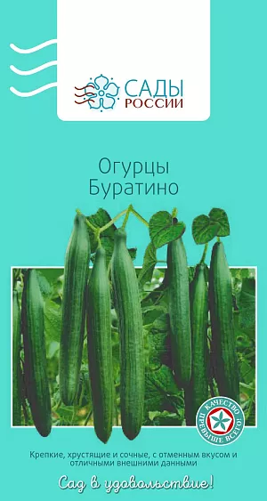 Семена Огурец Буратино