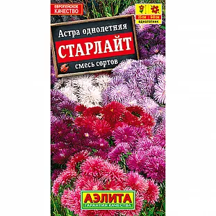 Астра Старлайт, смесь окрасок