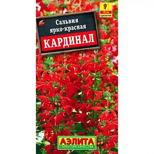 Сальвия Кардинал Сальвия Кардинал