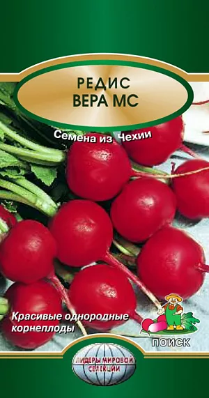 Семена Редис Вера МС