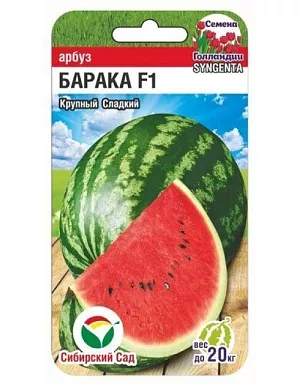Арбуз Барака F1