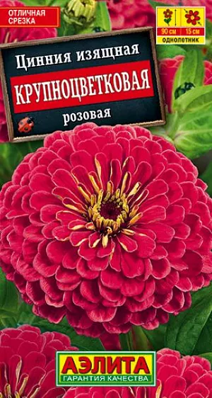 Семена Цинния Крупноцветковая розовая.
Обильноцветущая, высокорослая цинния с крупными, махровыми соцветиями-корзинками диаметром 13-15 см. Растения высотой до 90 см, крепкие, с прочными цветоносами. Цветение раннее и продолжительное, с июня до заморозков. Каждый цветок держится на растении до 30 дней. Циннии теплолюбивые, засухоустойчивые, предпочитают солнечные места, хорошо переносят воздействие непогоды. Используются на клумбах и рабатках, великолепно смотрятся в групповой посадке. Срезанные цветы долго стоят в воде. Агротехника. Выращивают рассадным способом. С развитием первой пары настоящих листочков сеянцы пикируют. В фазе 5-6 листьев проводят формирующую прищипку. Рассаду высаживают в открытый грунт, когда минует опасность заморозков. Растениям необходимы регулярные поливы, прополки, рыхления и подкормки. Возможен посев семян в открытый грунт на глубину1 см.