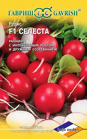 Семена Редис Селеста F1