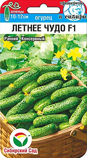 Семена Огурец Летнее чудо