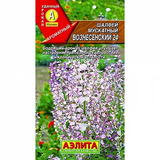Шалфей мускатный Вознесенский Шалфей мускатный Вознесенский