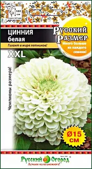 Семена Цинния Русский размер, белая из каталога Цинния <div>
Семена Цинния Русский размер, белая.<br>
<br>
При выращивании в теплице достигает роста взрослого человека. Каждое махровое соцветие размером до 15 см. сохраняется почти три недели. Невероятно красивая, эффектная срезка для больших ваз и композиций. Непрерывно цветет до заморозков.
</div>
<br>
Посев на рассаду. Глубина заделки семян - 0,5 см. Прорастание 5-8 дней при температуре 21-22°С.<br>
Высадка в грунт по окончании угрозы заморозков. Размещают на солнечном месте с рыхлой, плодородной, хорошо обработанной почвой.<br>
Полив - умеренный, еженедельно - подкормки сбалансированными удобрениями.