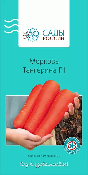 Семена Морковь Тангерина F1 Семена Морковь Тангерина F1