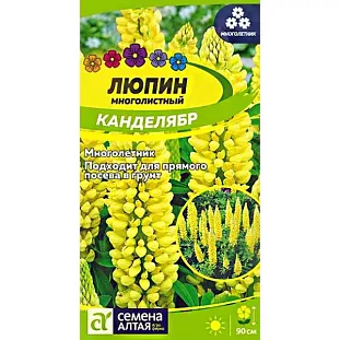 Семена Люпин Канделябр Семена Люпин Канделябр