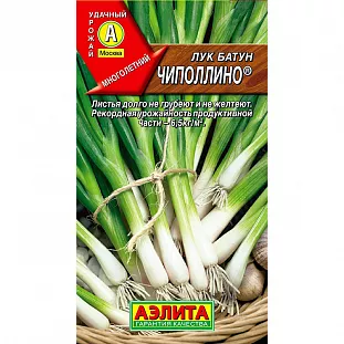 Семена Лук батун Чиполлино