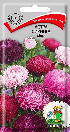 Семена Астра Сиринга микс.
Куст колонновидной формы, высота 80 см. Имеет полушаровидные и шаровидные соцветия, состоящие из широких, язычковых цветков, направленных вверх и загнутых внутрь, разнообразной окраски. Диаметр соцветия 8-10 см. Используют очень широко: для посадки в сборные цветники группами, на рабатки - рядами и великолепный материал для срезки. Агротехника. Растение предпочитает открытое солнечное место, но выносит и полутень. Лучше растет на легких, плодородных почвах. Не переносит внесения органических удобрений в год посадки. Семена высевают с середины февраля по апрель. Глубина заделки семян 0,5 см. При температуре почвы +20°C всходы появляются на 7-14 день. Через 3-4 недели посевы пикируют и выращивают при температуре +12-15°C. В грунт рассаду высаживают во второй половине мая, выдерживая расстояние между растениями 25-30 см.