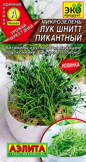 Семена Микрозелень Лук шнитт Пикантный