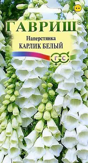 Наперстянка Карлик белый из каталога Наперстянка Семена Наперстянка Карлик белый.
Травянистое прямостоячее растение из семейства Норичниковые, высотой 35 см. Цветет в июне-августе.
Цветки крупные (длиной 3-4 см) колокольчатые, белоснежные, собраны в эффектное соцветие.
При удалении отцветших соцветий образует новые цветочные побеги. Морозо- и засухоустойчива.
Светолюбива, при выращивании в полутени цветки становятся мельче. Предпочитает рыхлые, плодородные и водопроницаемые почвы.
Выращивают посевом семян в открытый грунт. Всходы появляются на 8-10 день.
Сеянцы пикируют по схеме 10х10 см, на постоянное место растения высаживают с расстоянием 15-20 см, молодые растения желательно укрыть. Используется для посадки в бордюрах,группах, миксбордерах. Отлично гармонирует с сортом Карлик Красный.