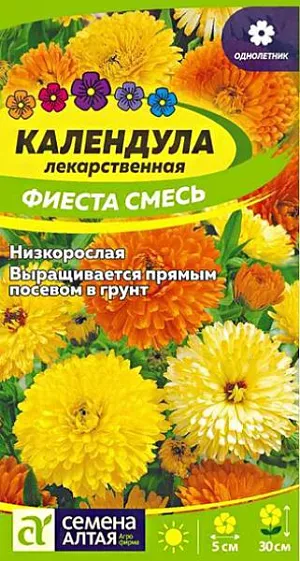 Семена Календула "Фиеста" смесь.<br>
 Смесь низкорослых (25-30 см.) сортов длительного срока цветения. Растения компактные, густоветвящиеся и хорошо облиственные. Соцветия махровые, диаметром 4-5 см., разнообразной окраски теплых тонов, с небольшим темным диском. Удаление увядших соцветий способствует более длительному цветению. Популярная сортосмесь для традиционного использования, в посадках сочетается с иберисом, гвоздикой, агератумом, льном.<br>
 <br>
Растение светолюбивое, холодостойкое и сравнительно неприхотливое, лучше растет на дренированных удобренных почвах при достаточном увлажнении. Размножают посевом семян в открытый грунт в мае или под зиму, всходы прореживают на расстоянии 20-30 см. Зацветает через 45-50 дней после появления всходов.