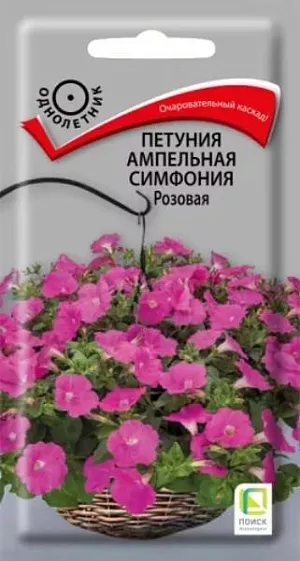 Семена Петуния ампельная Симфония Розовая из каталога Петуния Семена Петуния ампельная Симфония Розовая.
Очаровательный каскад! Растения великолепно разрастаются, образуя шикарные побеги длиной 50-70 см. Цветы крупные, эффектные, диаметром 5-6 см. Окраска - розовая. Цветет обильно с июня по октябрь. Отлично подходит для подвесных корзин, балконных ящиков.
Растение светолюбивое, засухоустойчивое, хорошо растет на любых питательных почвах. Посевы проводят в феврале. Контейнеры накрывают плёнкой для обеспечения максимальной влажности воздуха и субстрата в первые 7-10 дней после посева. При температуре почвы +18-20°C всходы появляются на 7-14 день. Сеянцы пикируют в фазе 2-х настоящих листьев. Рассаду высаживают в мае, по 3 растения в подвесное кашпо или вазон диаметром 21 см. Для получения наилучшего результата требуется прищипка. Семена соответствуют требованиям международных стандартов и ГОСТу РФ 12260-81